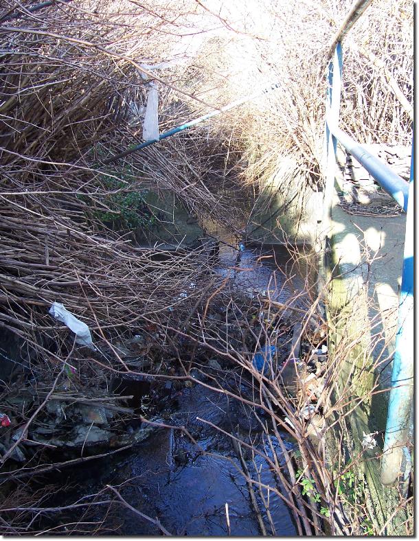 Donore Ave