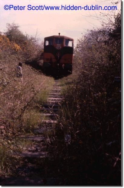 irish branch line undergrowth diesel engine