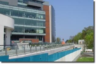 leopardstown park elevated track