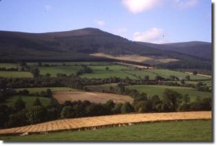 wicklow scene