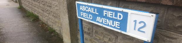 picture of the street sign in Dublin 12,"Field Avenue" "Ascaill Field"